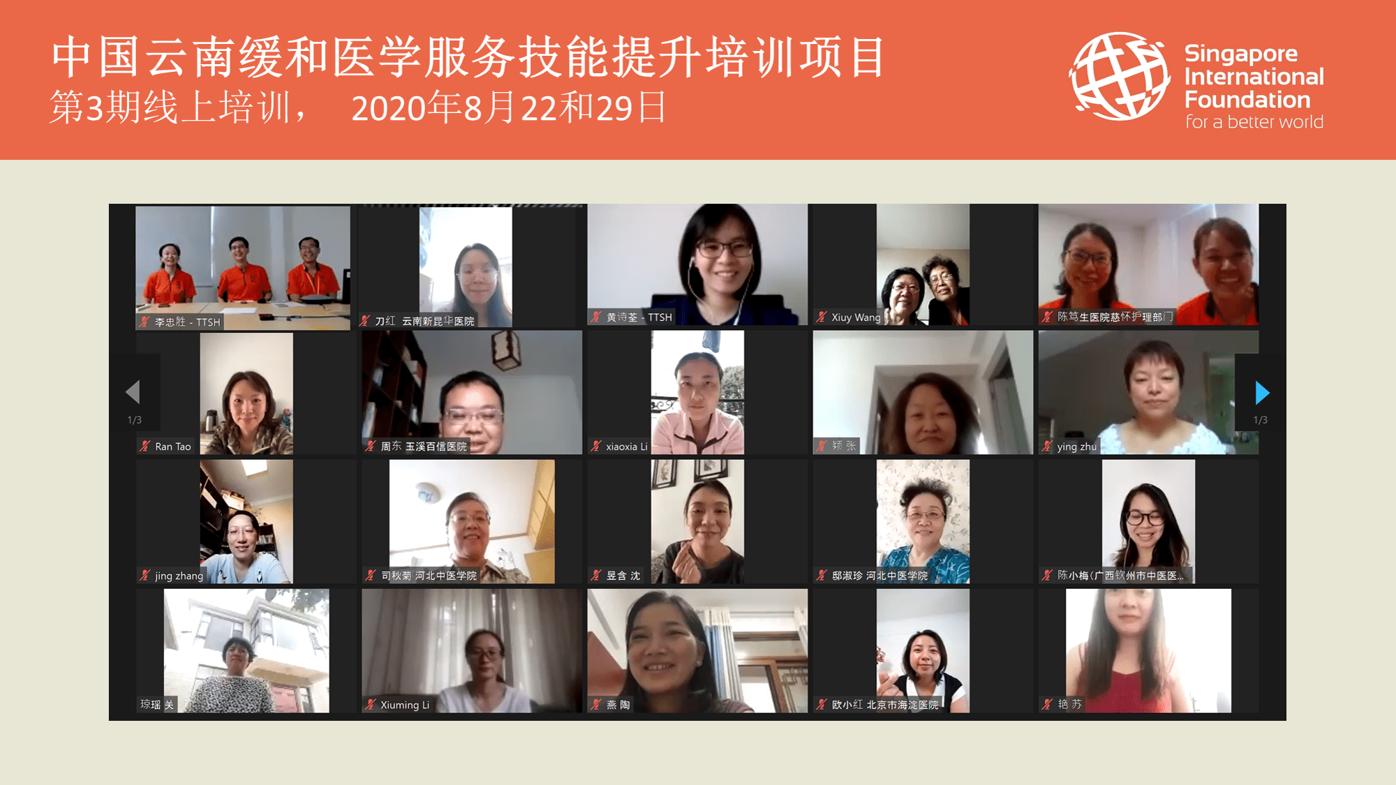 Screenshot of an online workshop with volunteers and participants