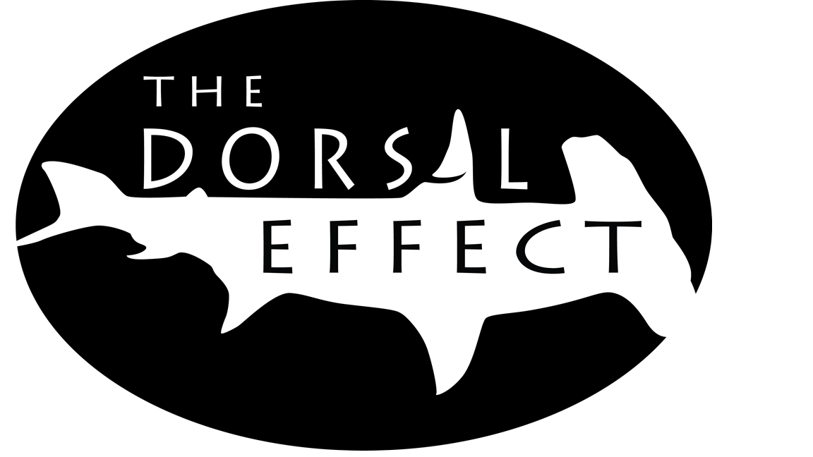 yse-2013-team-the-dorsal-effect