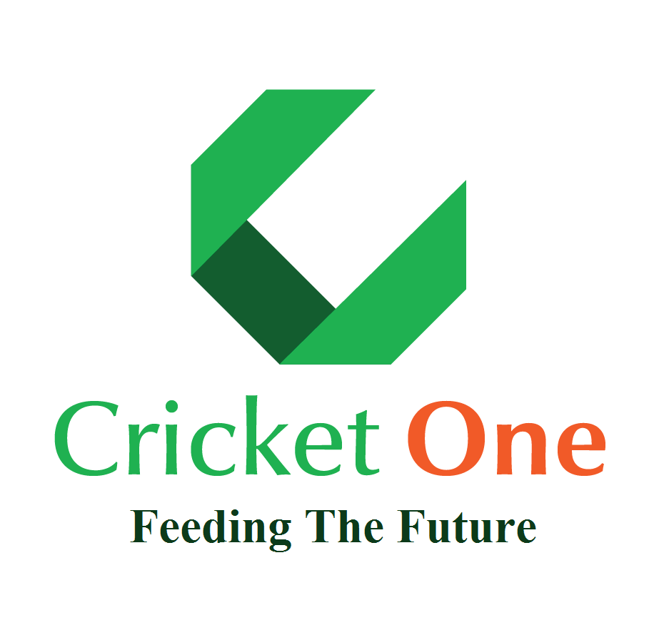 Cricket One