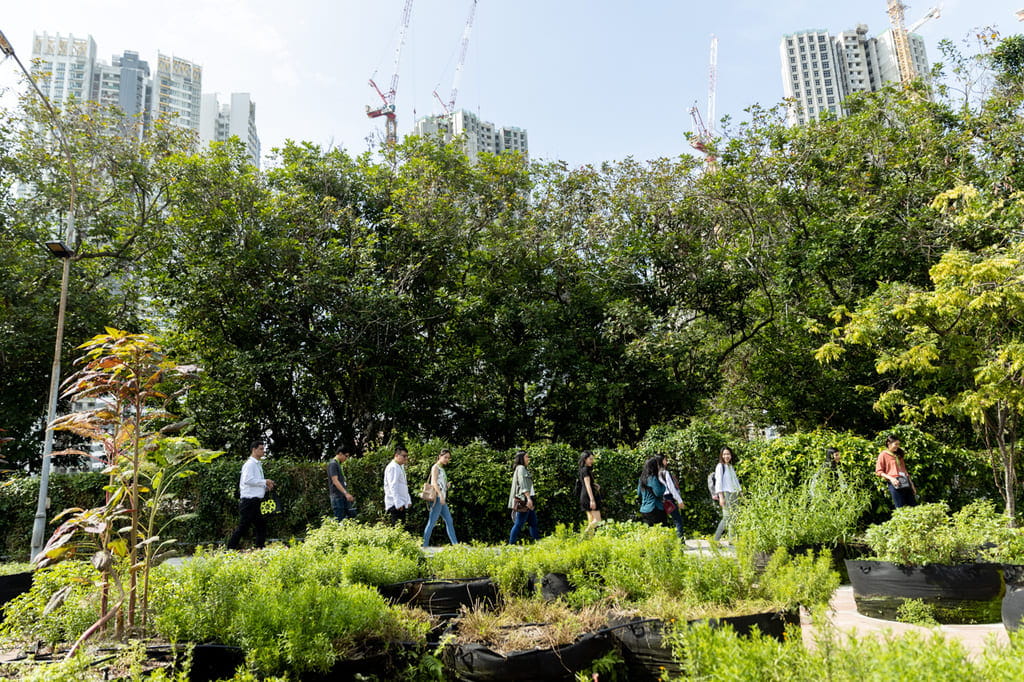 Participants visited Citizen Farm, an urban farm by Edible Garden City, to gain a better understanding of the innovative and sustainable food production solutions in land-scarce Singapore